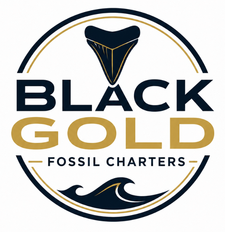 blackgoldfossilcharters.com Logo